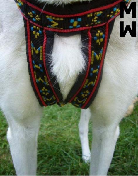 ManMat Zuggeschirr Hound