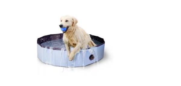 CoolPets Hundepool