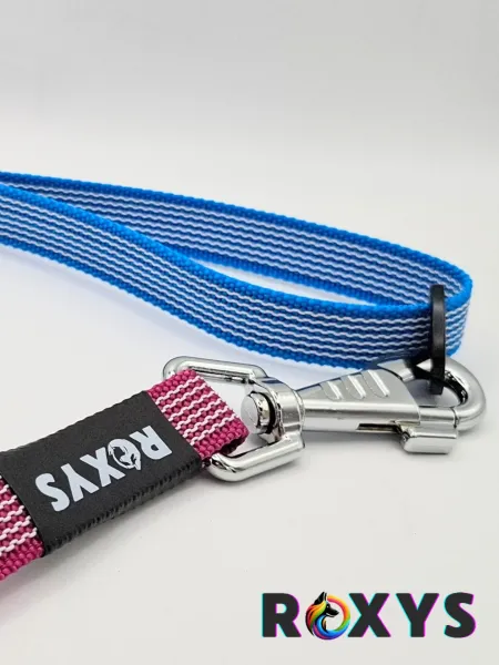 Kurzführer mit Ring