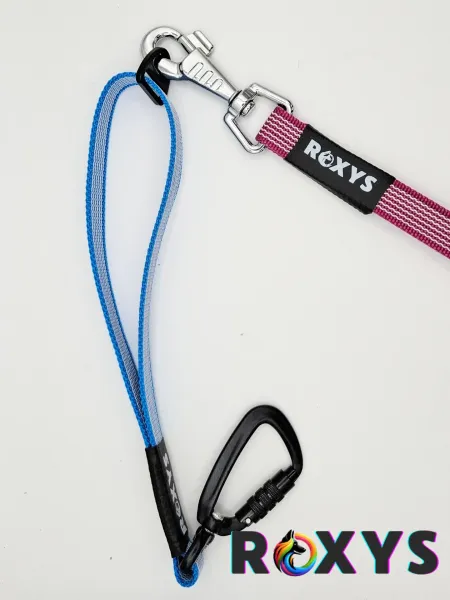 Kurzführer mit Ring