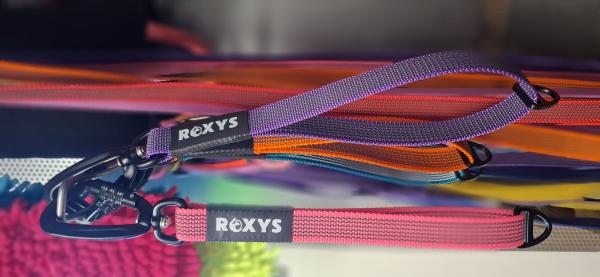 Kurzführer mit Ring