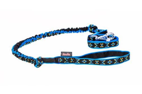 Leine mit Rückdämpfer