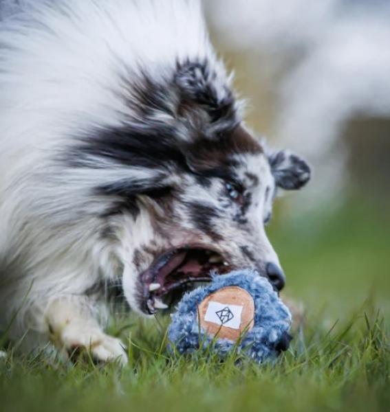 HUNDLANDS Leckerli Ball