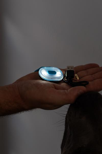 Max & Molly Matrix Ultra LED