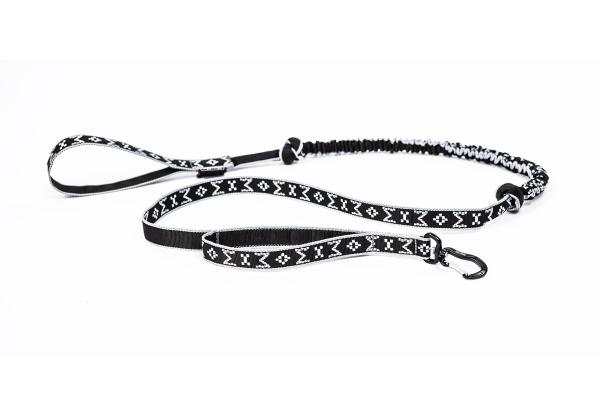 Leine mit Rückdämpfer und Schlaufe am Karabiner
