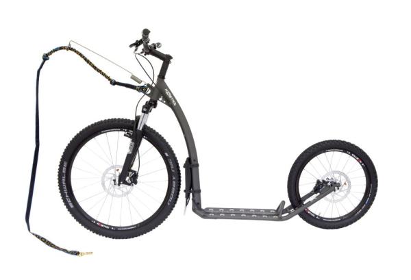 Kostka Mushing Max G6