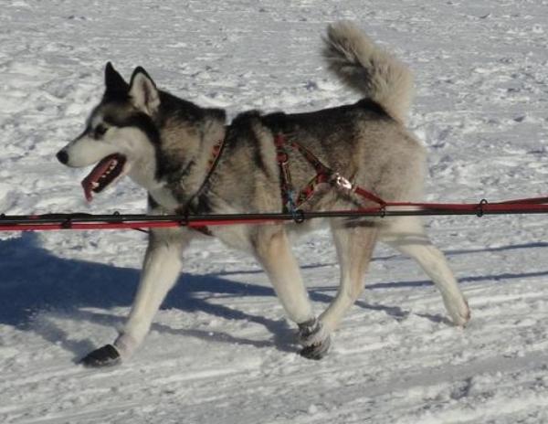 Manmat PULKA Geschirr