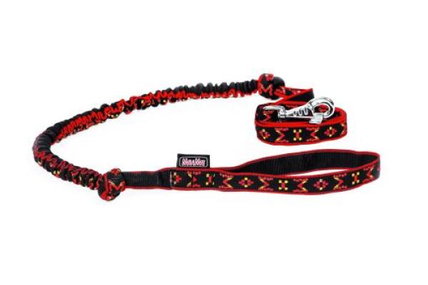 Leine mit Rückdämpfer