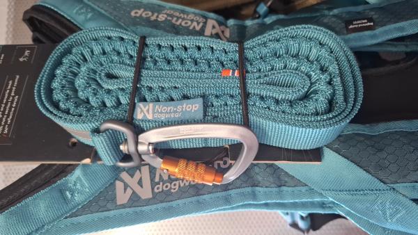 Toruing Bungee Leash teal