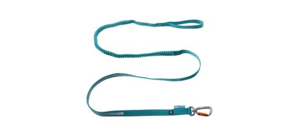 Toruing Bungee Leash teal
