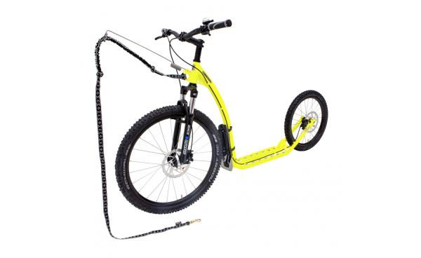 Kostka Mushing Max G6