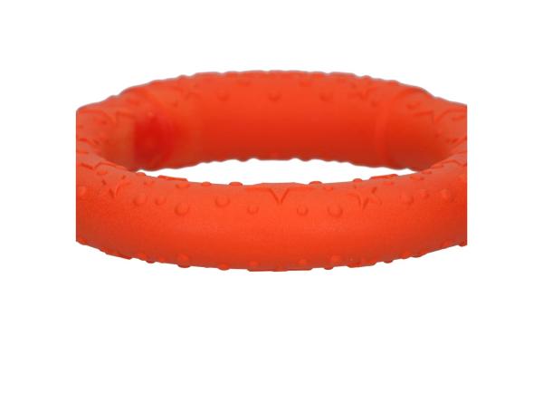 Dog Comets UFO Ring