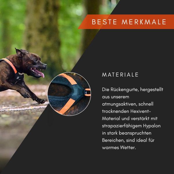 Nonstop Rush Harness
