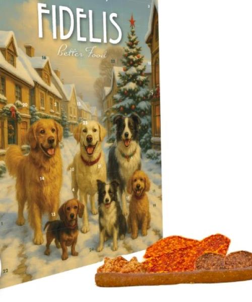 XL - Weihnachtskalender "Fidelis"