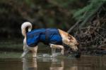 Cool on Track - Cooling Hundemantel