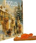 XL - Weihnachtskalender "Fidelis"